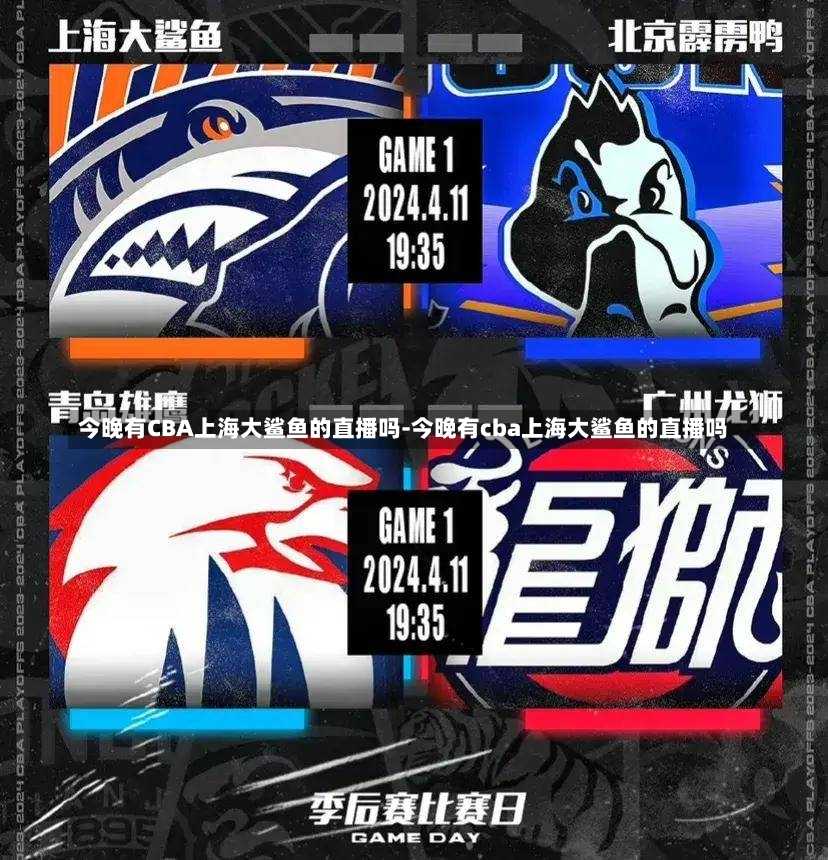比赛经验