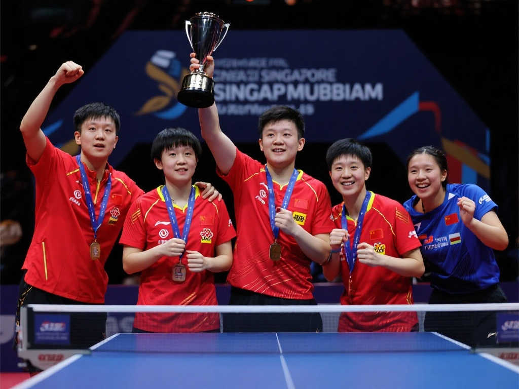 转会画上了 转会画上了